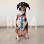 Arnés Perro Tropical Azul