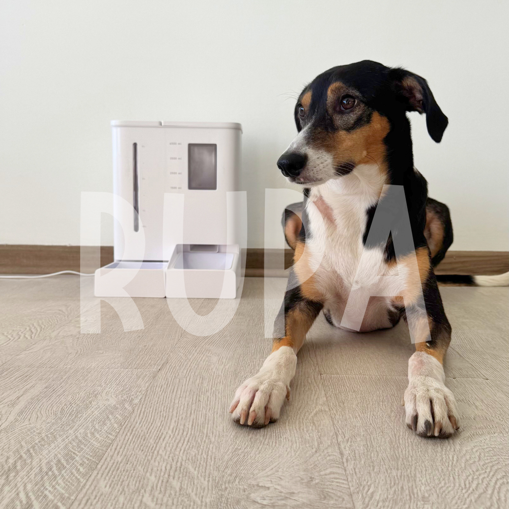 Rupa SmartDuo Dispensador Automático WiFi 2 en 1