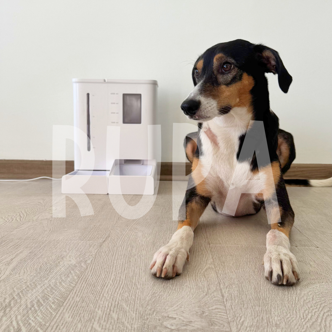 Rupa SmartDuo Dispensador Automático WiFi 2 en 1