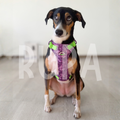 Arnés Perro Selva Morado