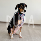 Arnés Perro Jardín Rosado
