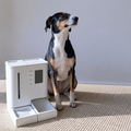 Rupa SmartDuo Dispensador Automático WiFi 2 en 1