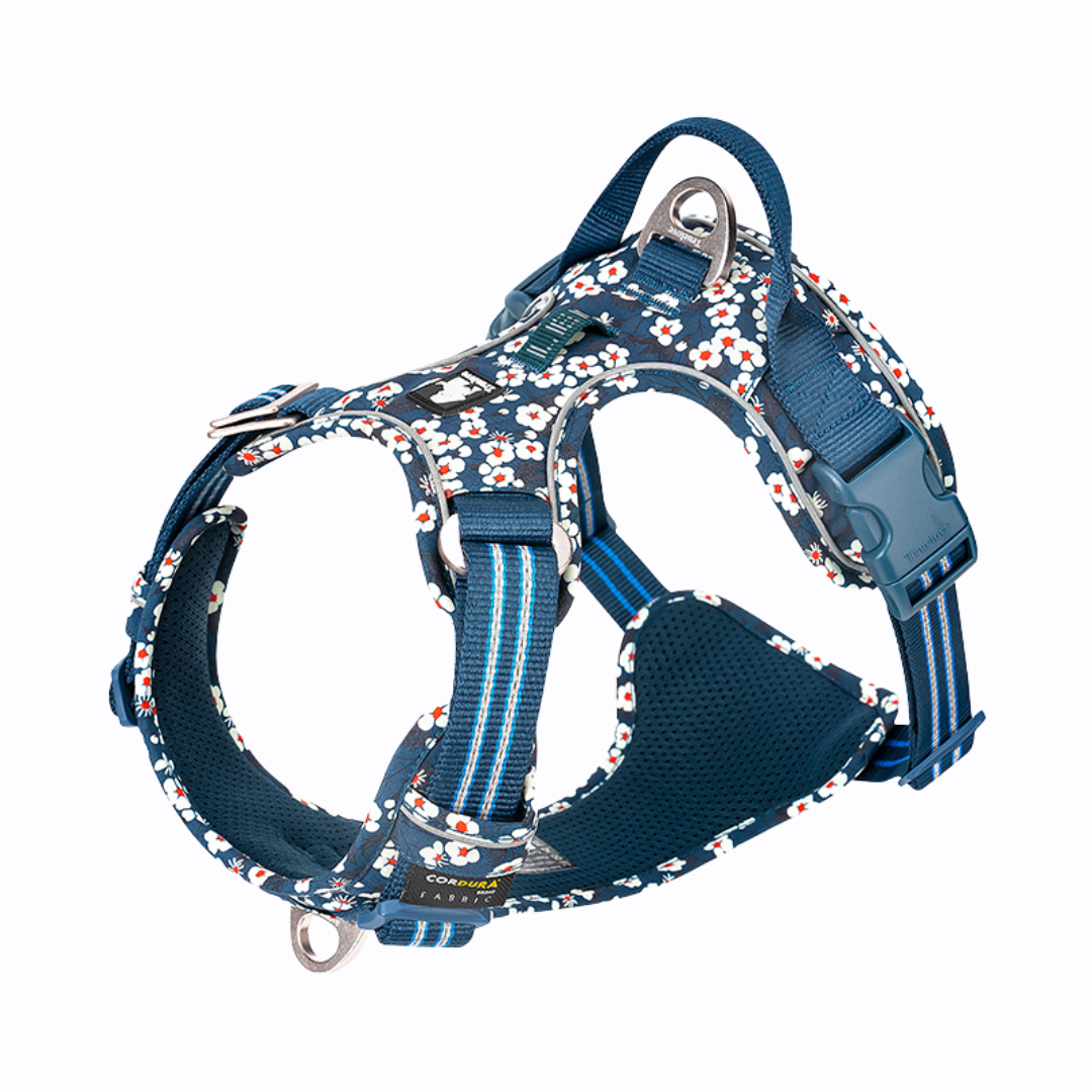 Arnés Perro Azul Floral