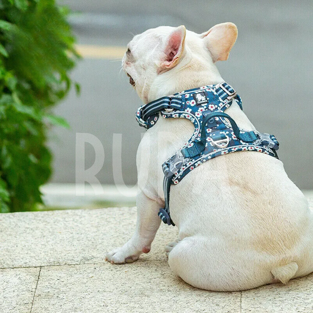 Arnés Perro Azul Floral