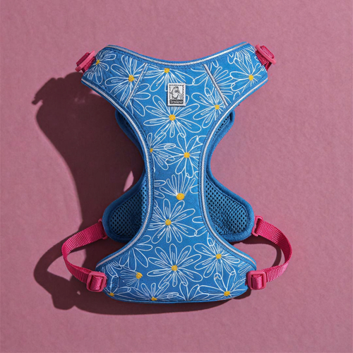 Arnés Perro + Correa Cielo Floral