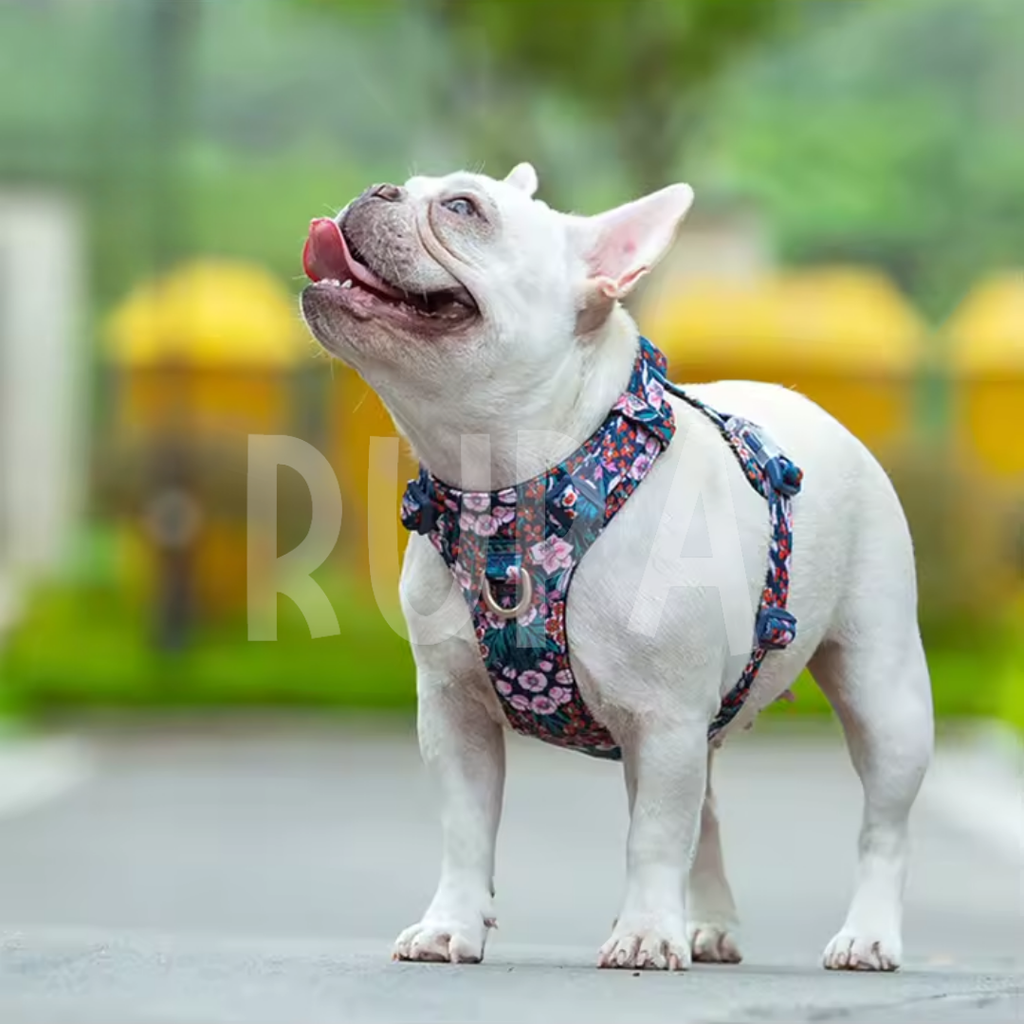 Arnés Perro Jardín Rosado