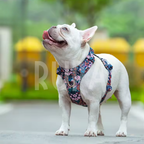 Arnés Perro Jardín Rosado
