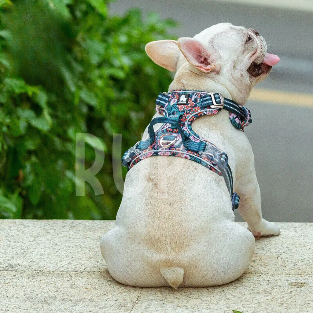 Arnés Perro Jardín Rosado