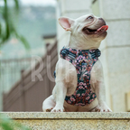 Arnés Perro Jardín Rosado