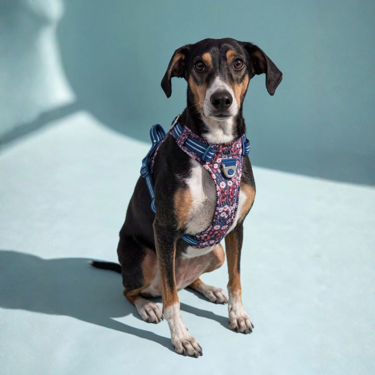 Arnés Perro Jardín Rosado