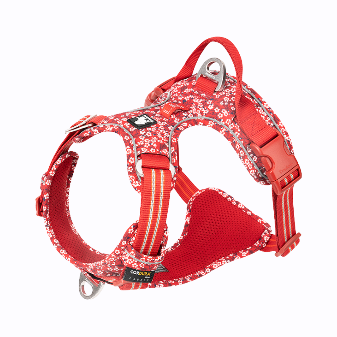 Arnés Perro Margaritas Rojo