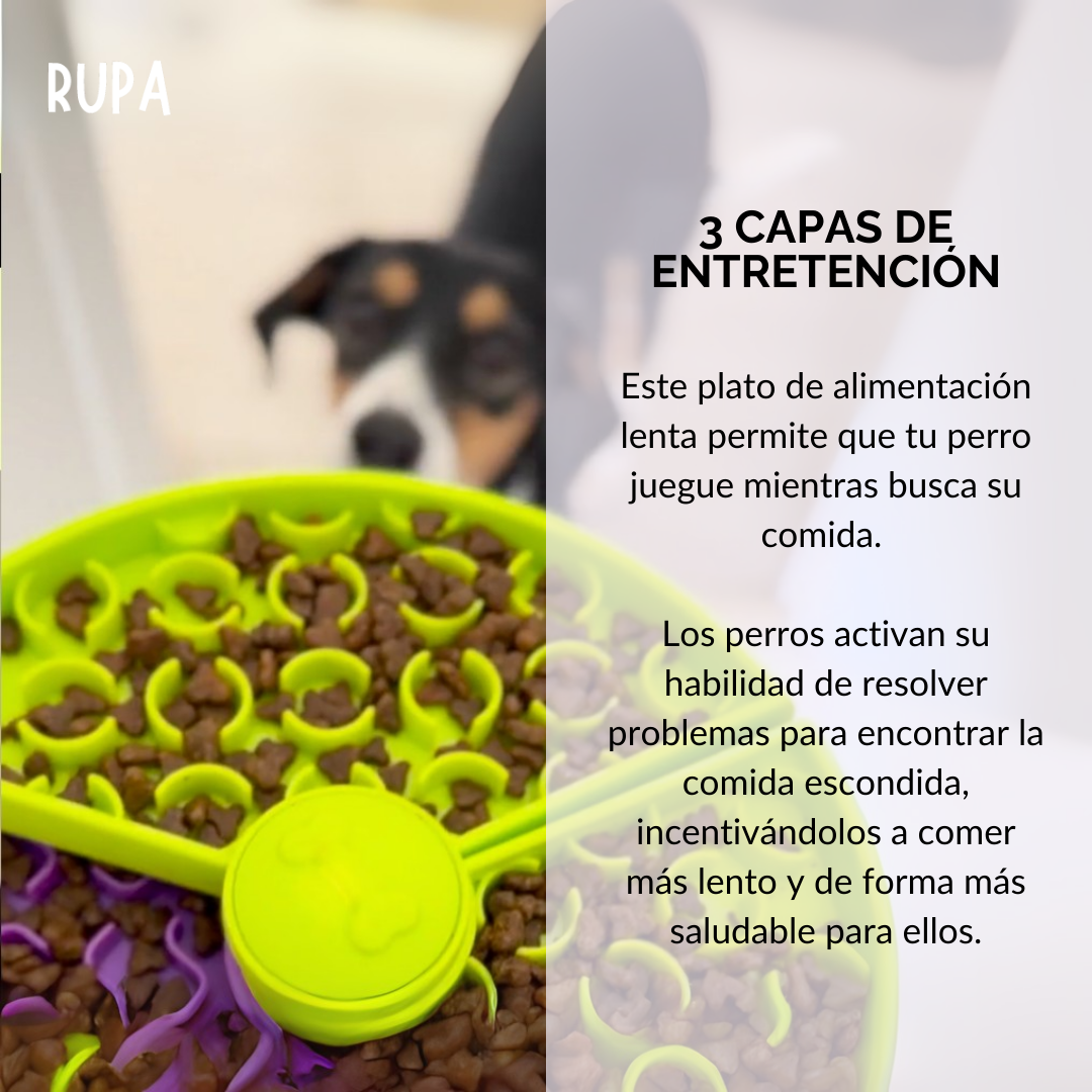 Plato de Alimentación Lenta para Perros