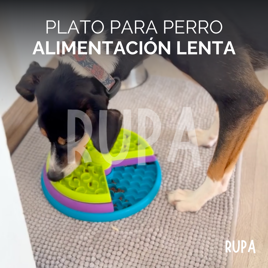 Plato de Alimentación Lenta para Perros