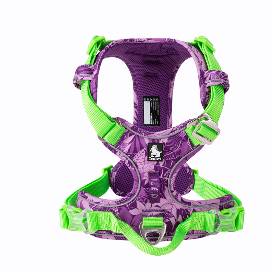Arnés Perro Selva Morado