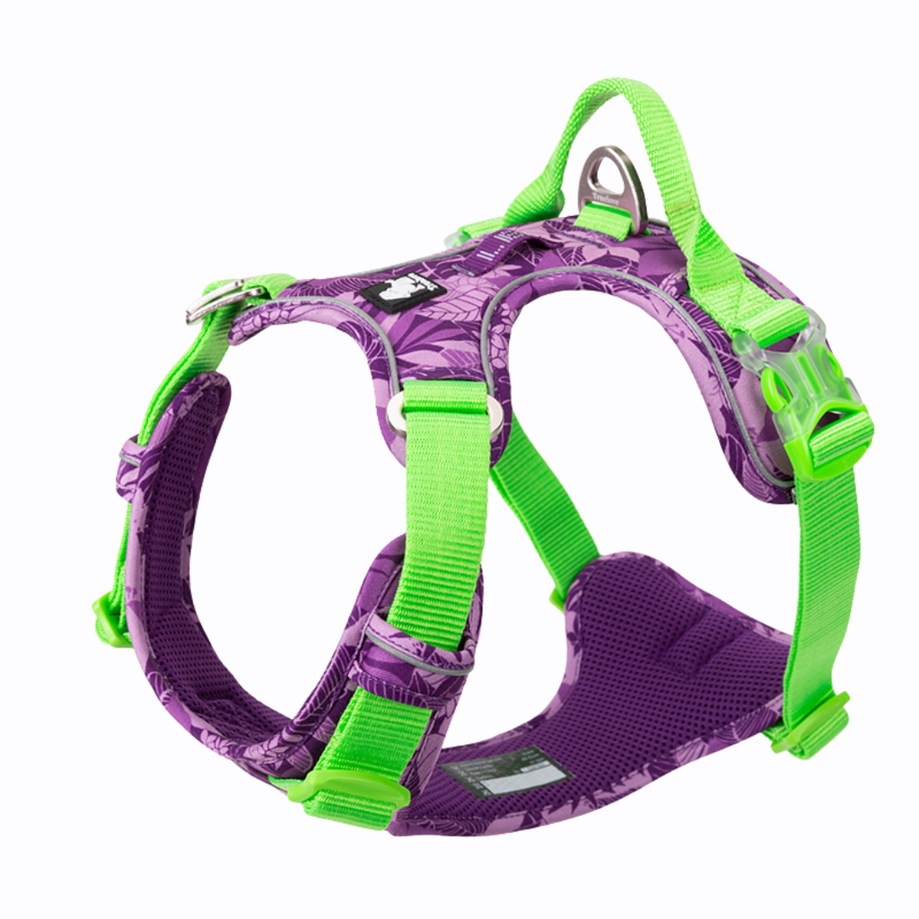 Arnés Perro Selva Morado
