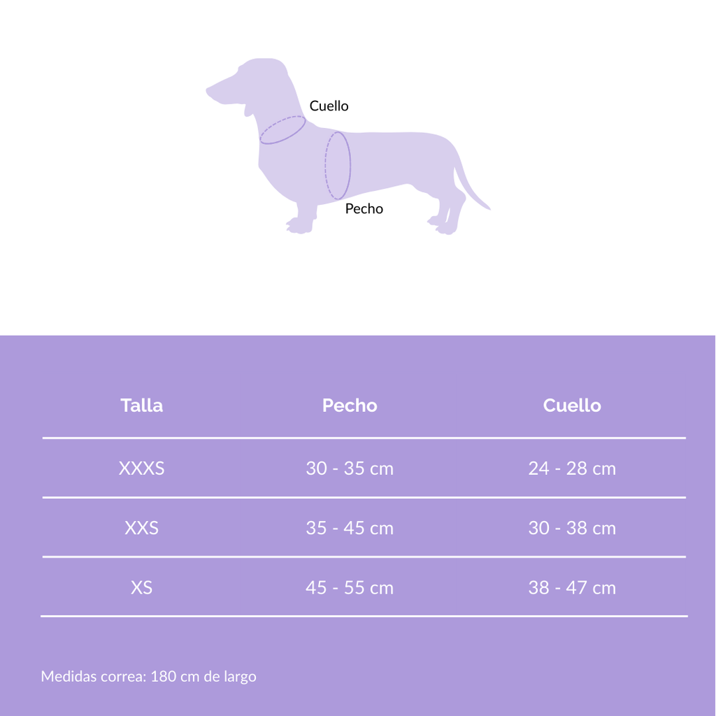 Arnés Perro + Correa Cielo Floral